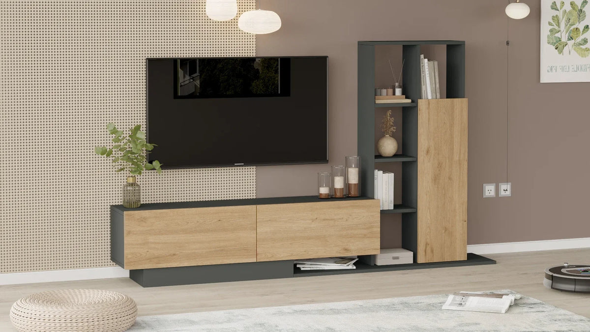 Blaze TV Unit Покрита библиотека Рафт Кошница-антрацит – görsel 3